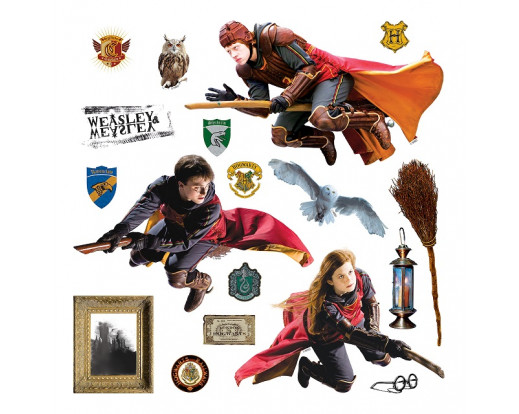 DKS 3829 Harry Potter falmatrica